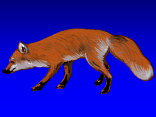 male fox sounds