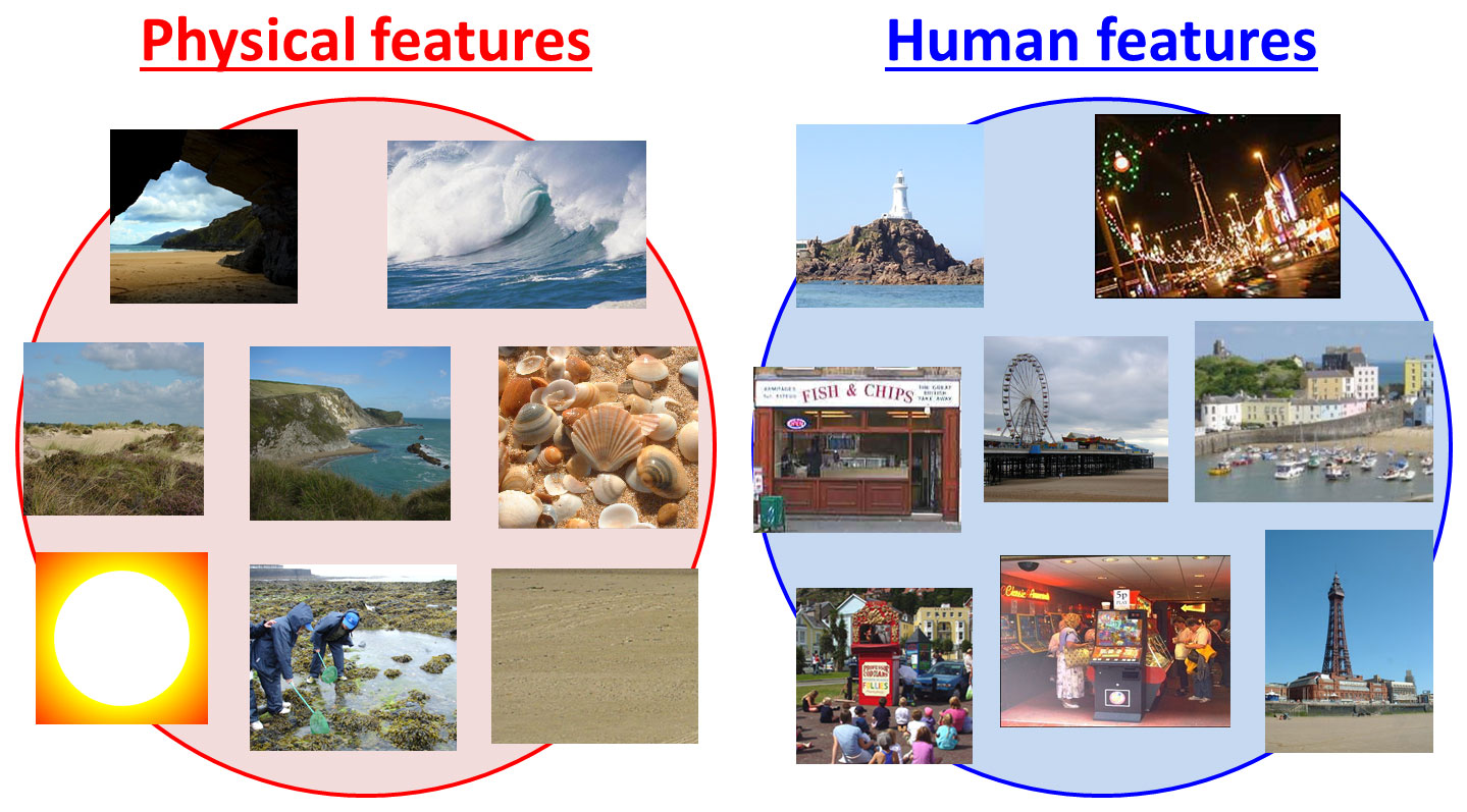 Image result for physical and human features seaside